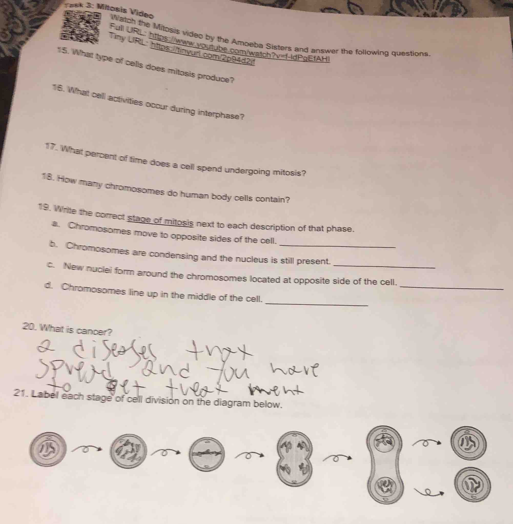 task 3: mitosis video watch the mitosis video by the amoeba sisters and…