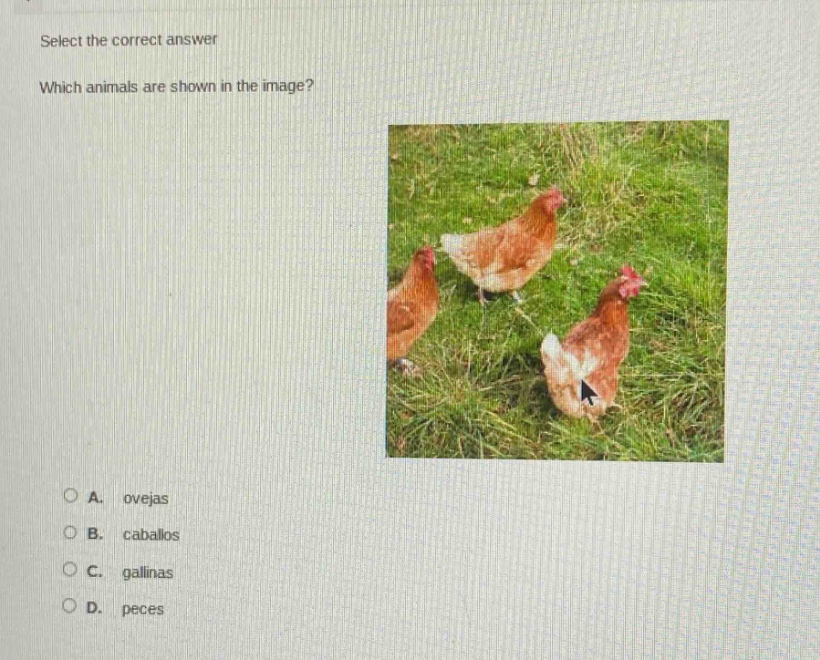 select the correct answer which animals are shown in the image? a. ovej…