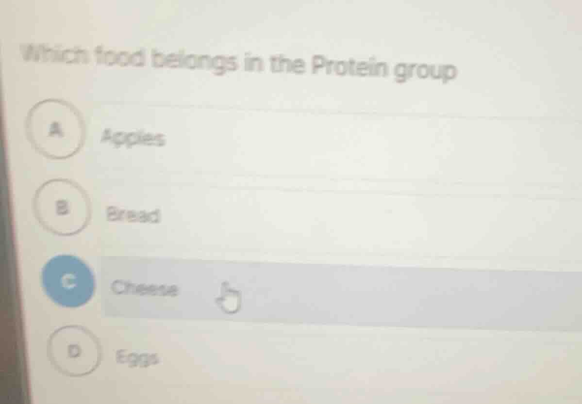 which food belongs in the protein group a apples b bread c cheese d eggs