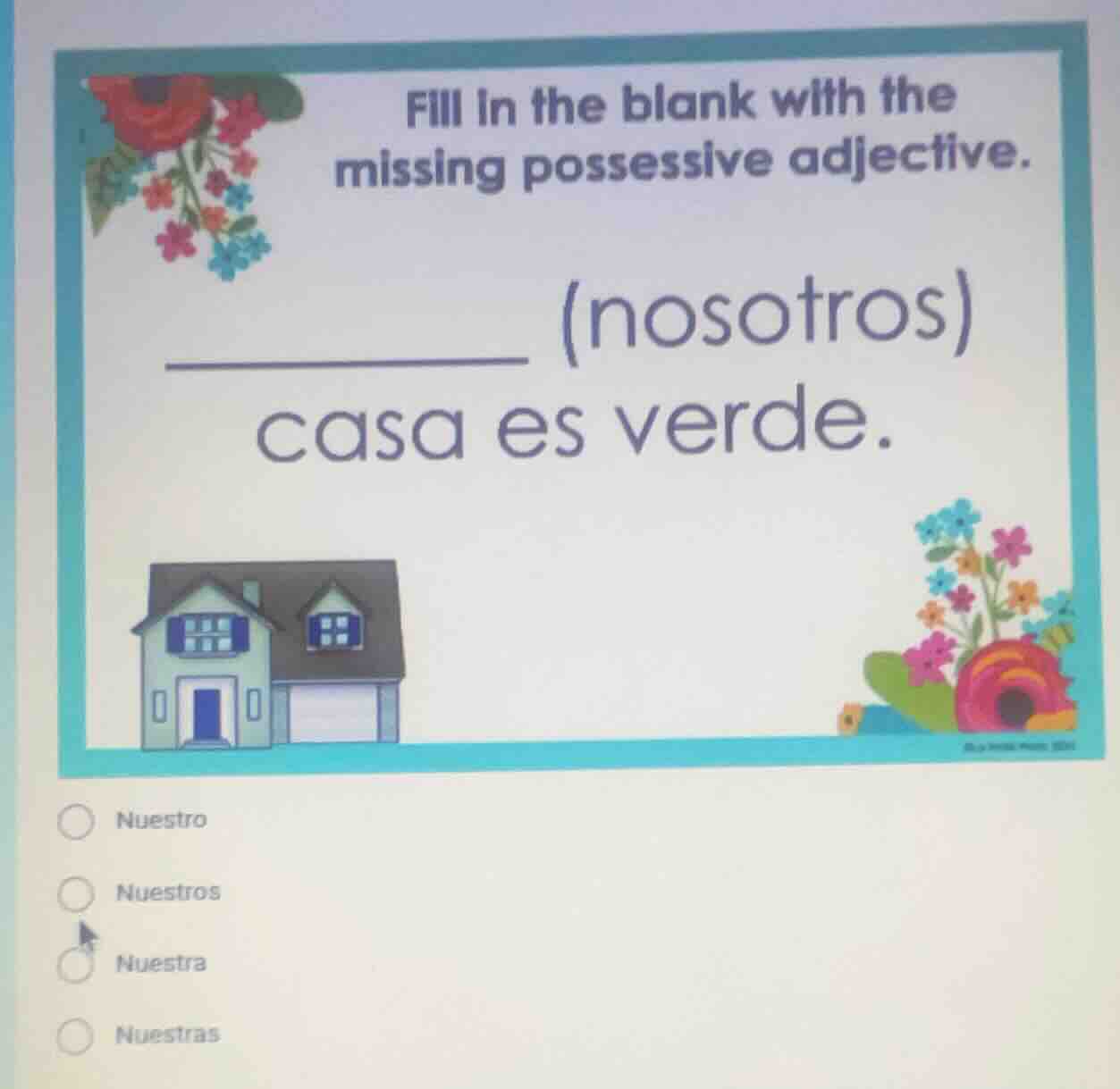 fill in the blank with the missing possessive adjective. ________ (noso…