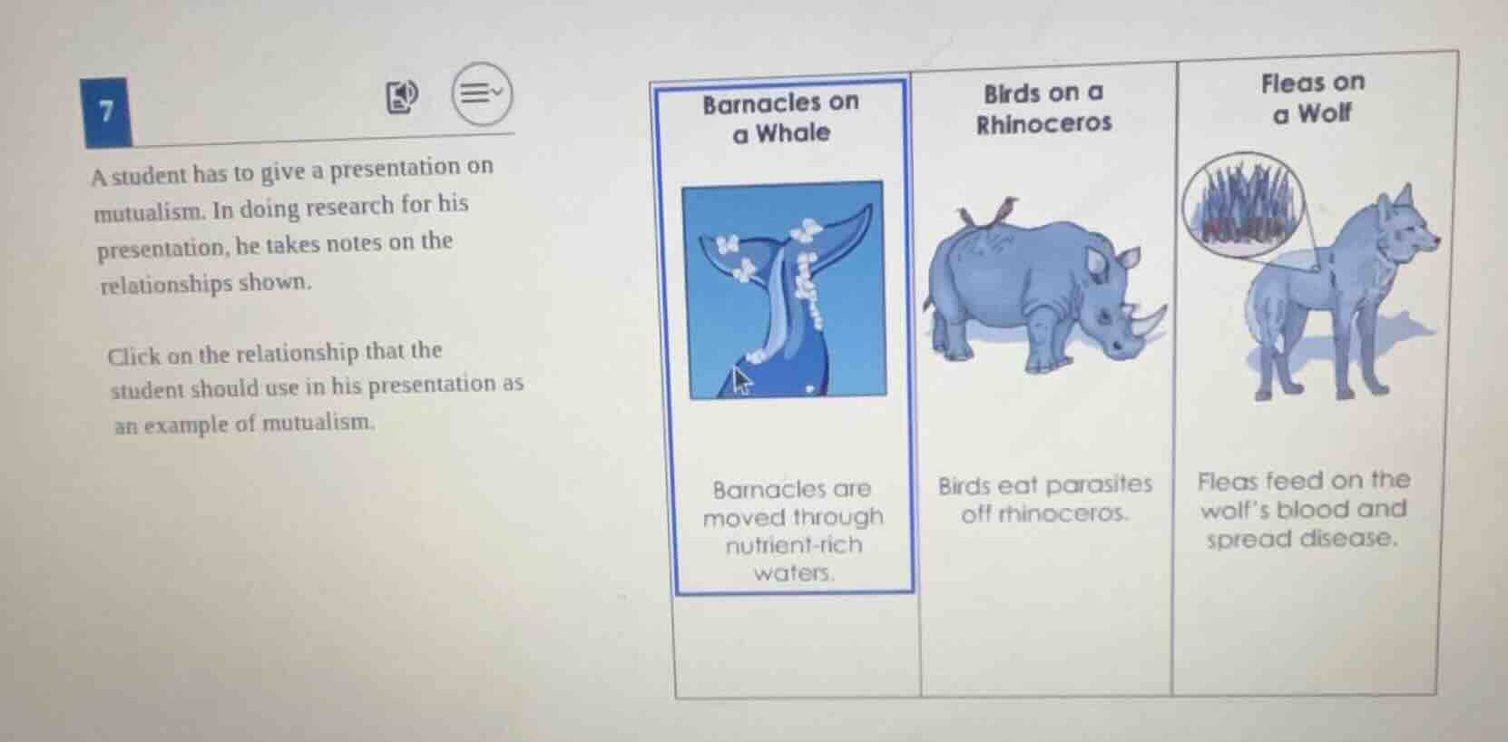7 a student has to give a presentation on mutualism. in doing research …