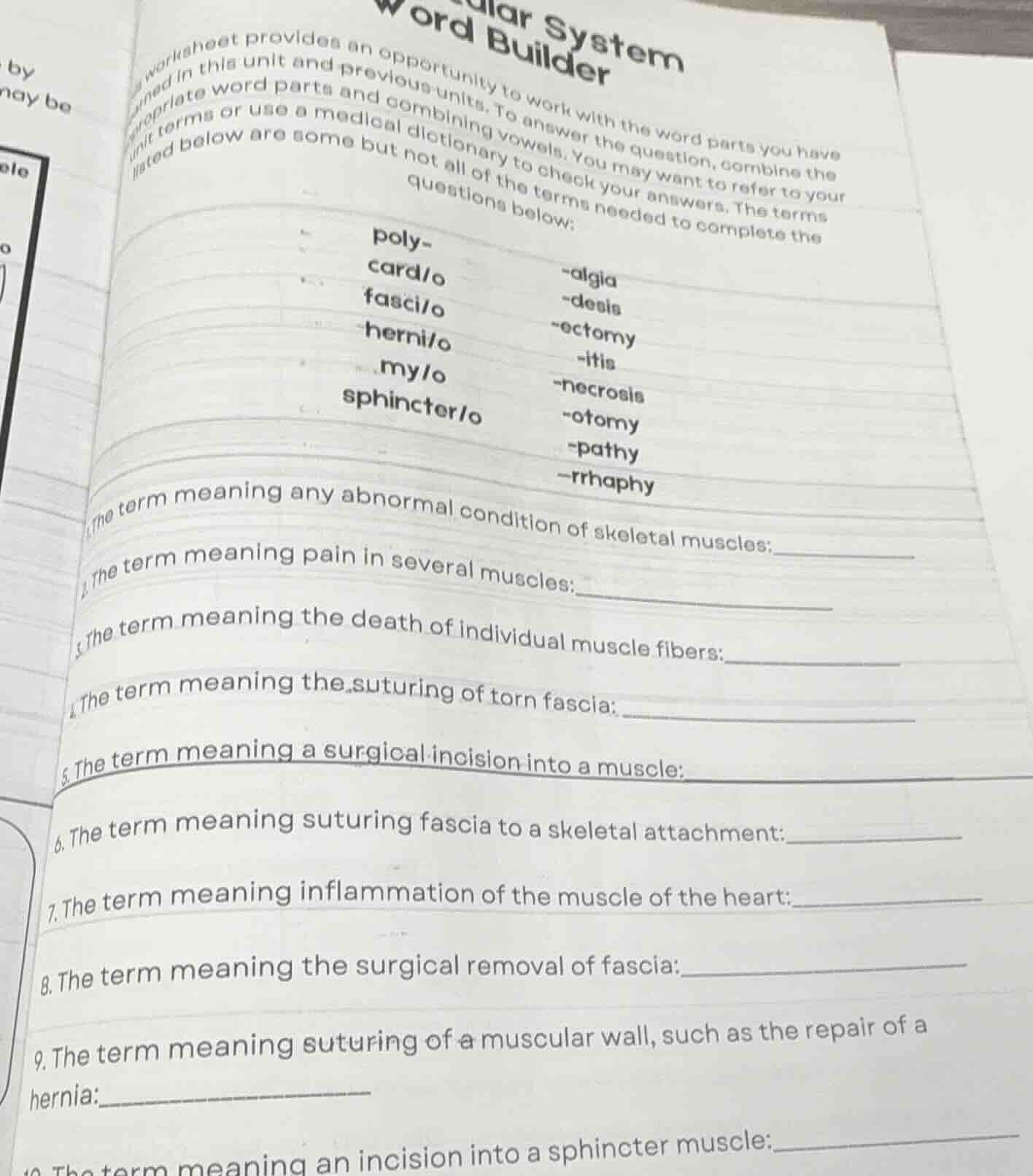 worksheet provides an opportunity to work with the word parts you have …