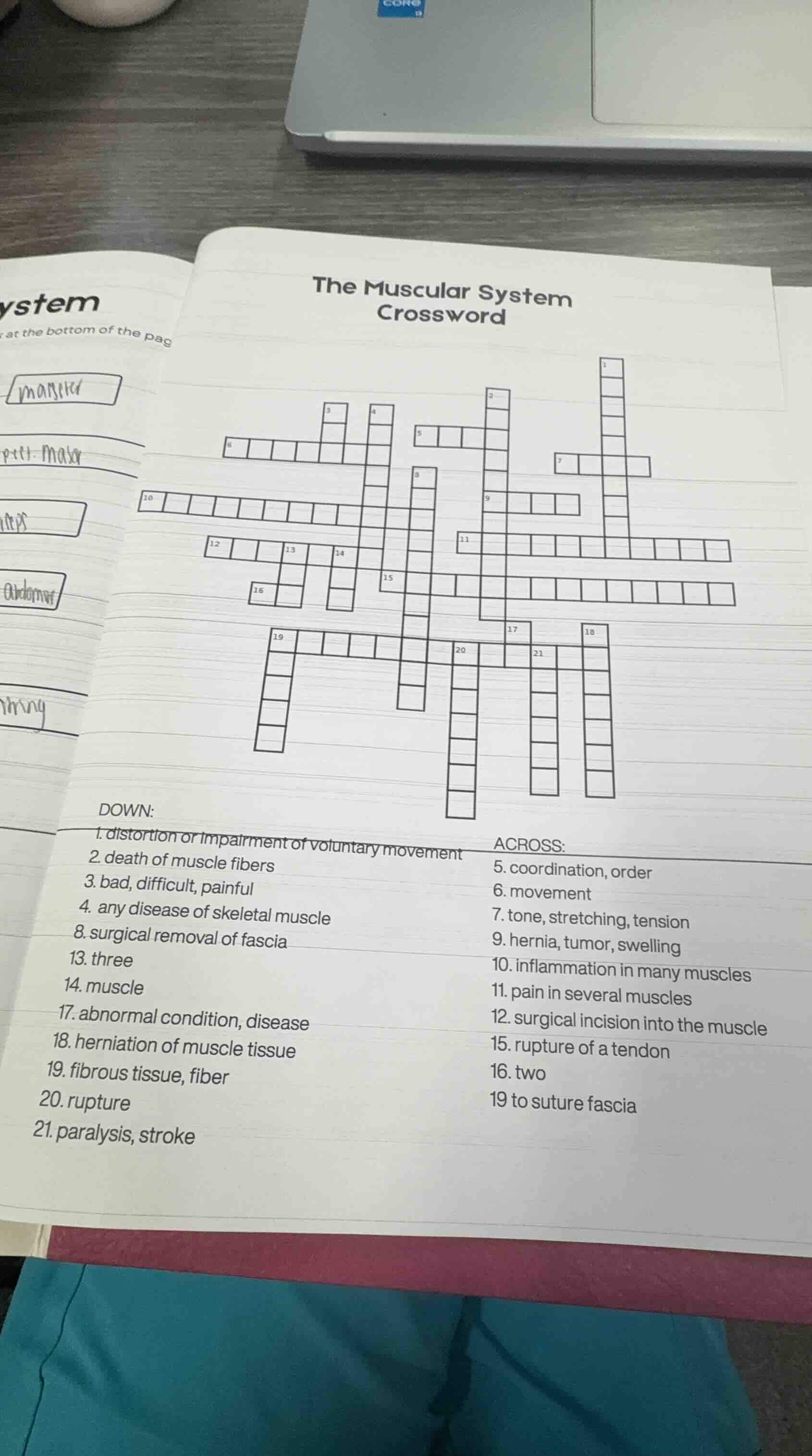the muscular system crossword down: 1. distortion or impairment of volu…