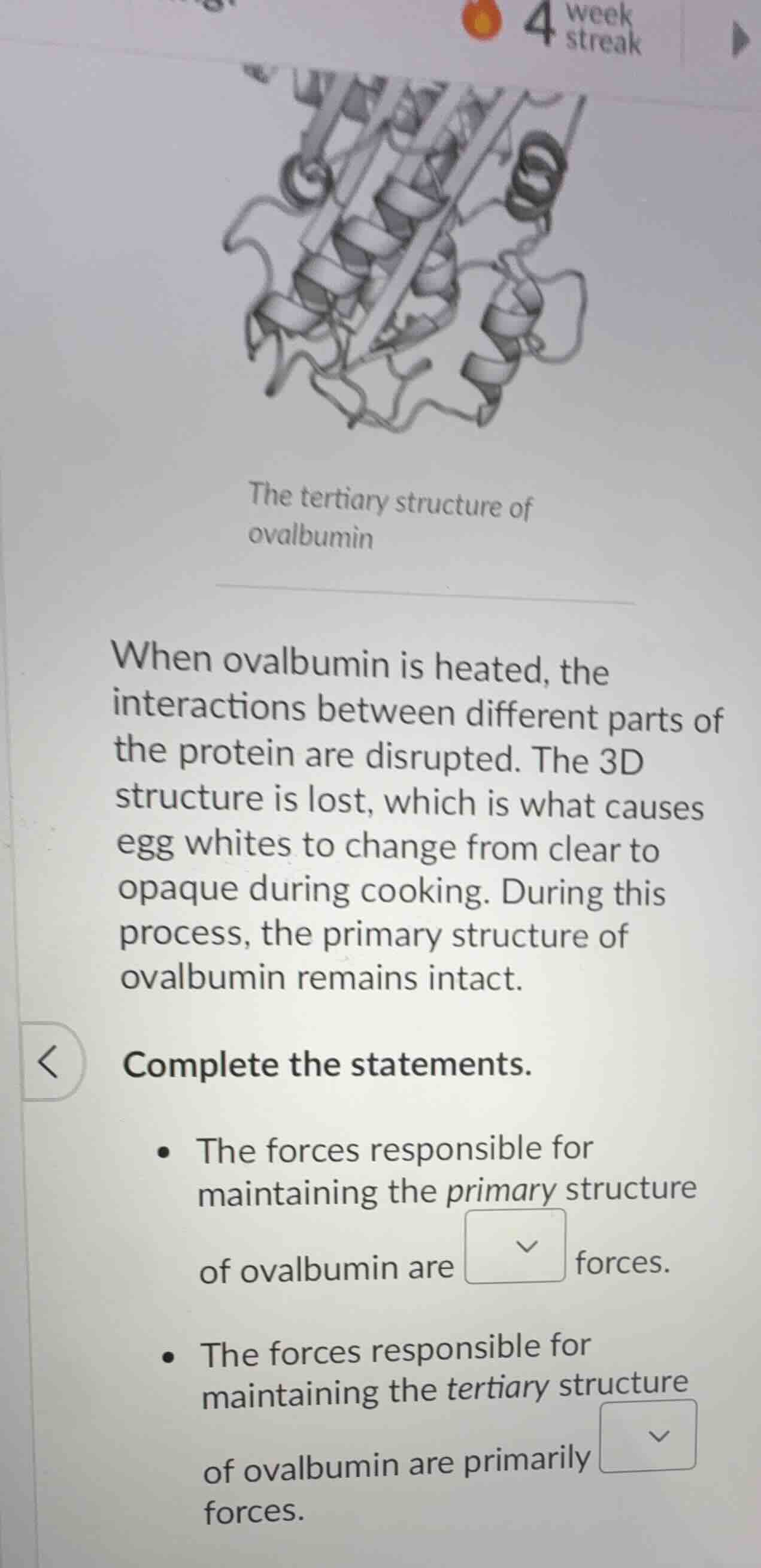 the tertiary structure of ovalbumin when ovalbumin is heated, the inter…