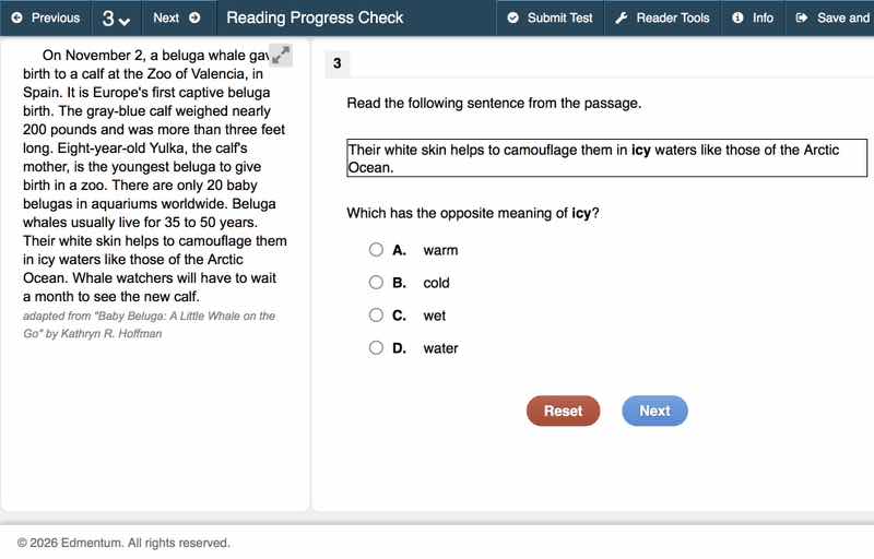 on november 2, a beluga whale gave birth to a calf at the zoo of valenc…