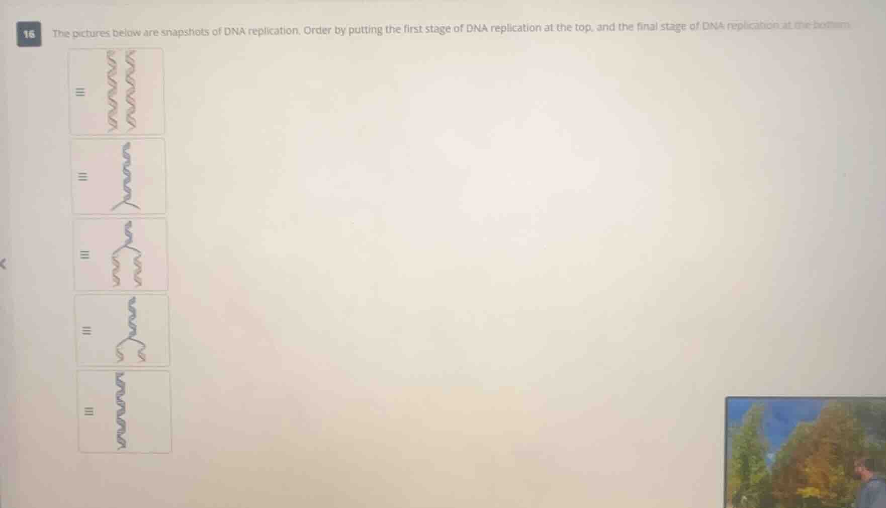 16 the pictures below are snapshots of dna replication. order by puttin…