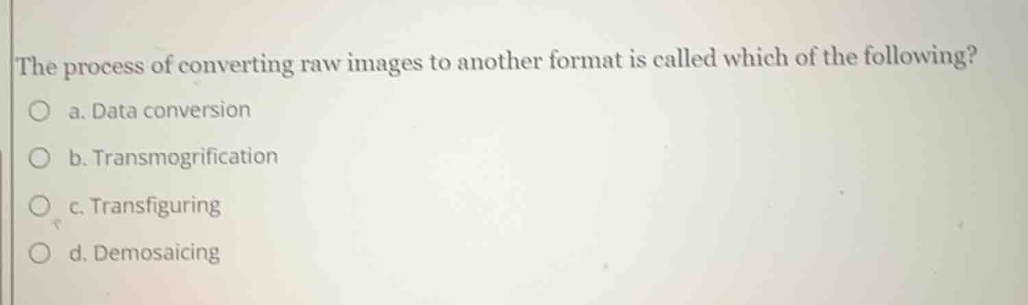 the process of converting raw images to another format is called which …