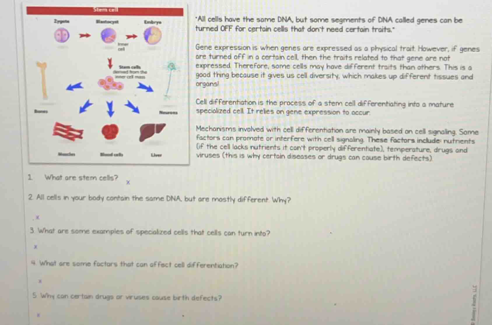 stem cell *all cells have the same dna, but some segments of dna called…