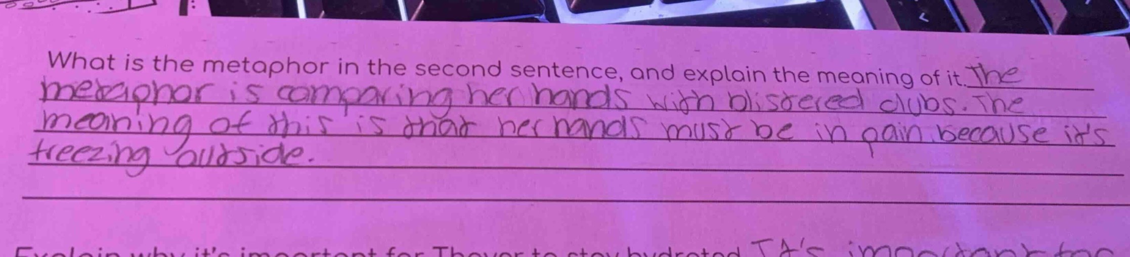 what is the metaphor in the second sentence, and explain the meaning of…