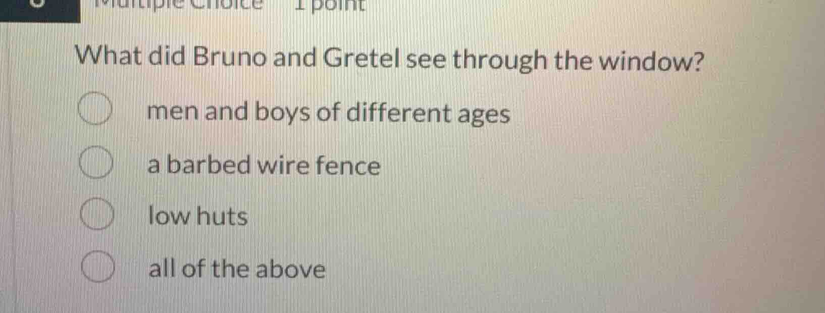 what did bruno and gretel see through the window? men and boys of diffe…