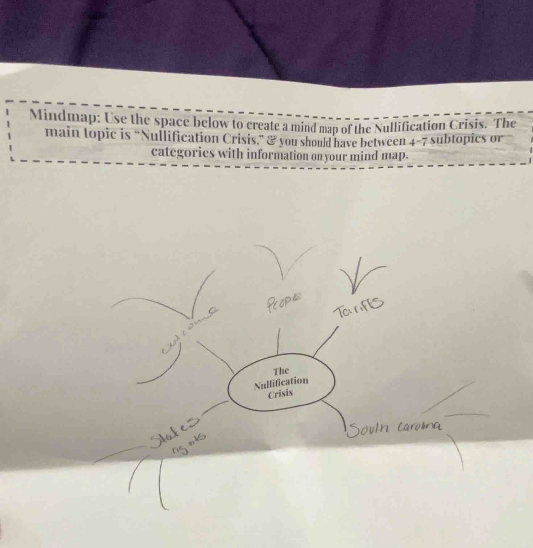 mindmap: use the space below to create a mind map of the nullification …