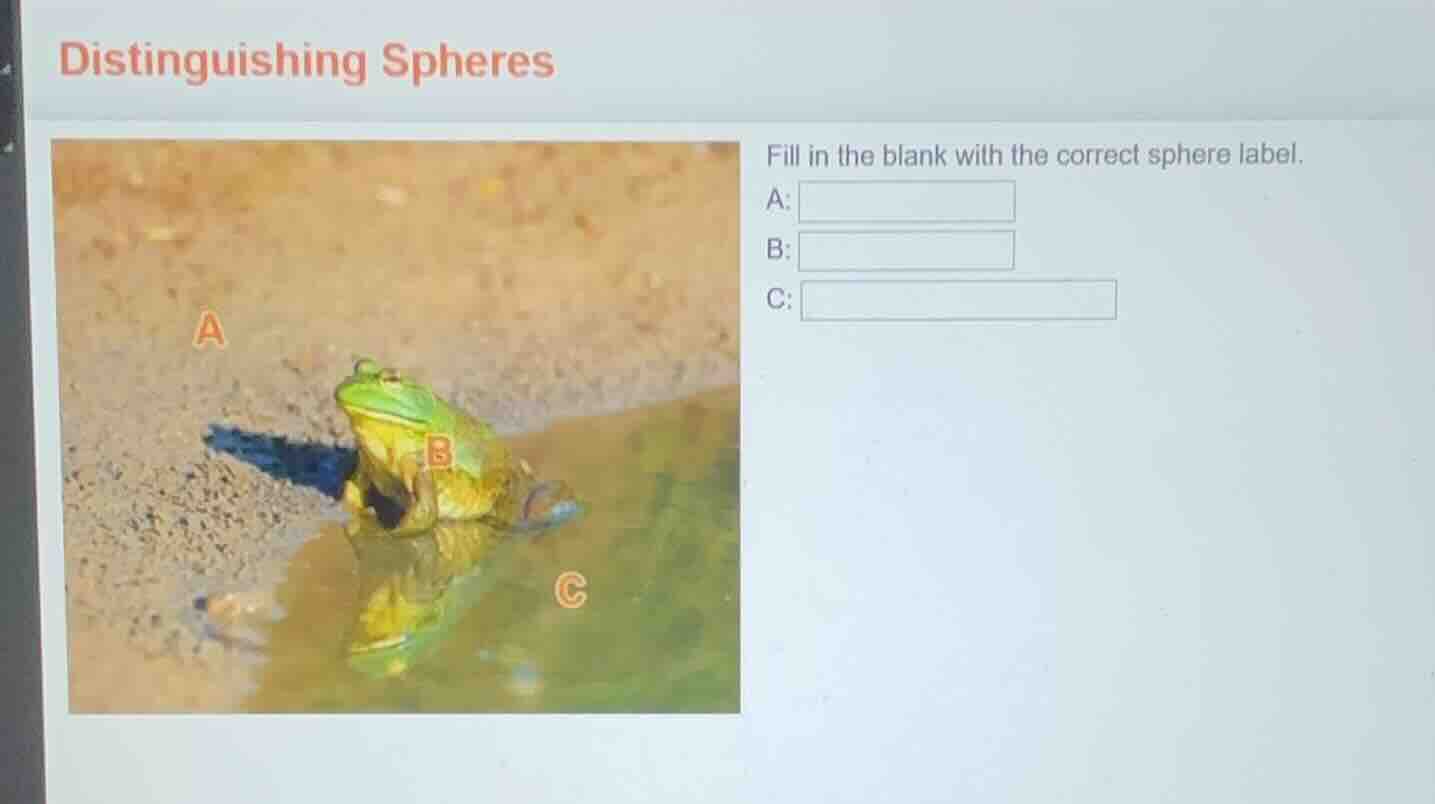 distinguishing spheres fill in the blank with the correct sphere label.…