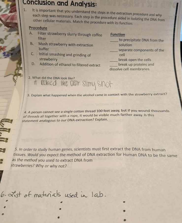 conclusion and analysis: 1. it is important that you understand the ste…