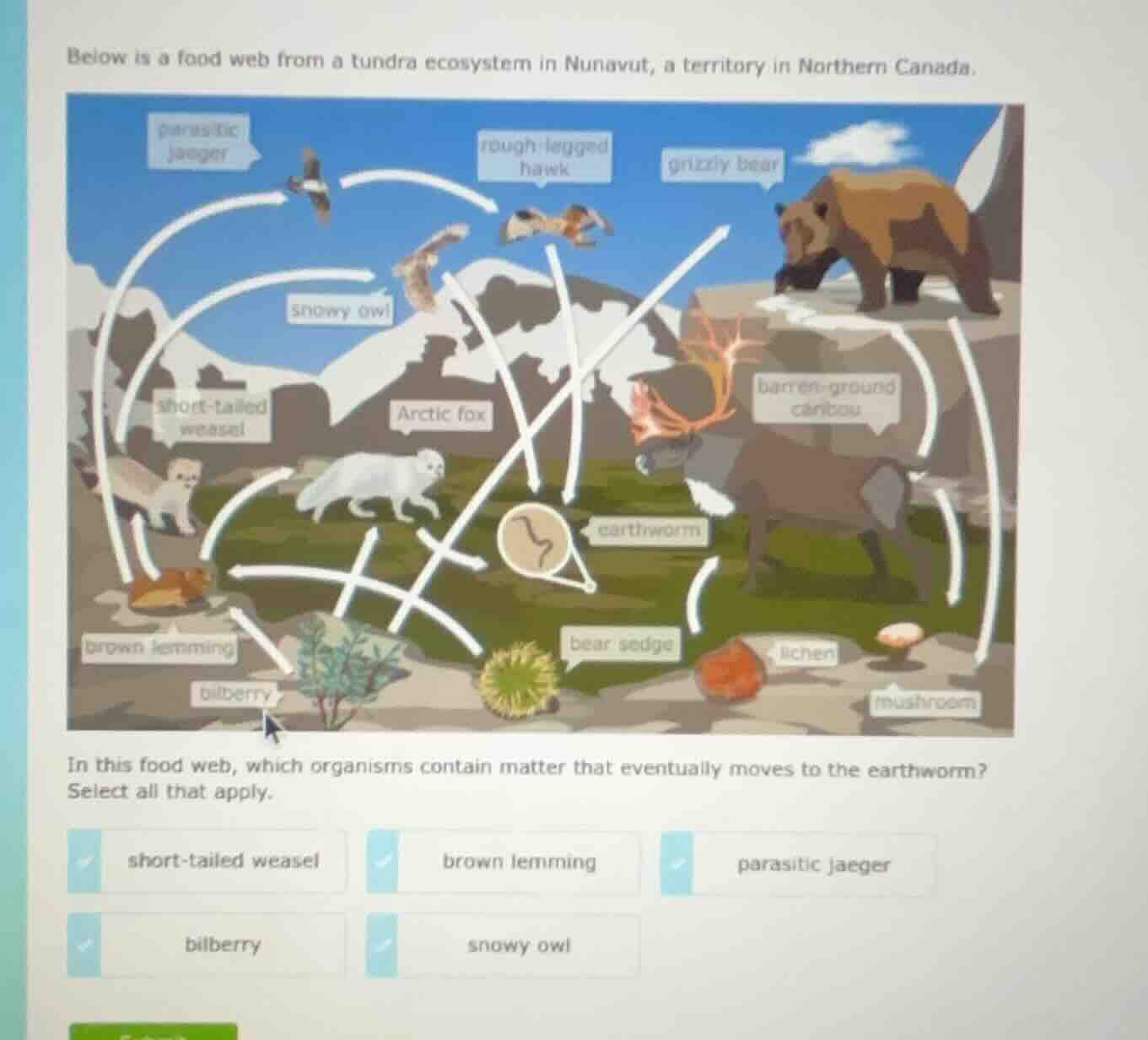 below is a food web from a tundra ecosystem in nunavut, a territory in …