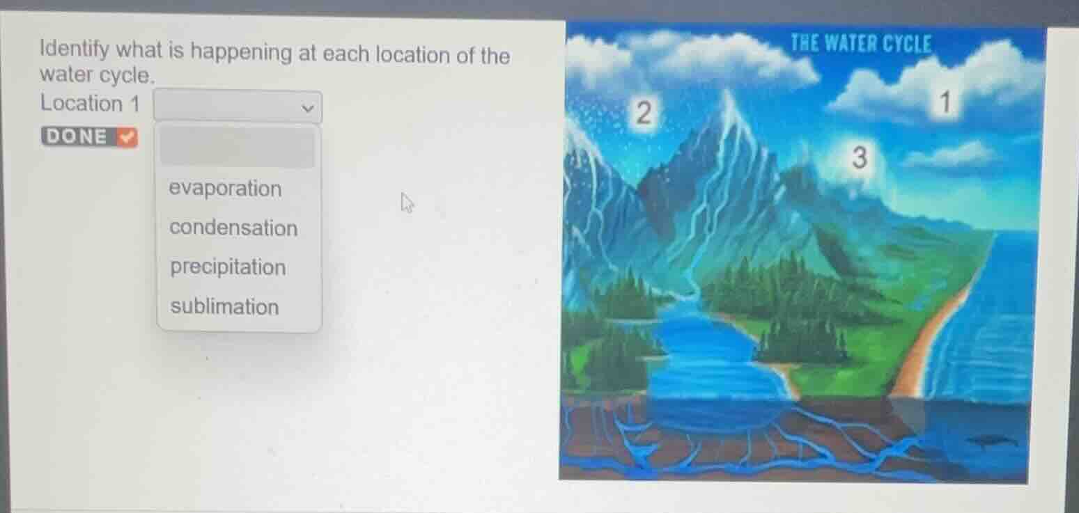 identify what is happening at each location of the water cycle. locatio…