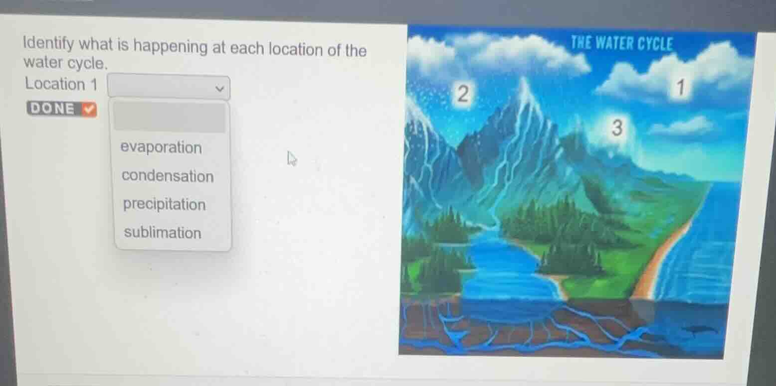 identify what is happening at each location of the water cycle. locatio…