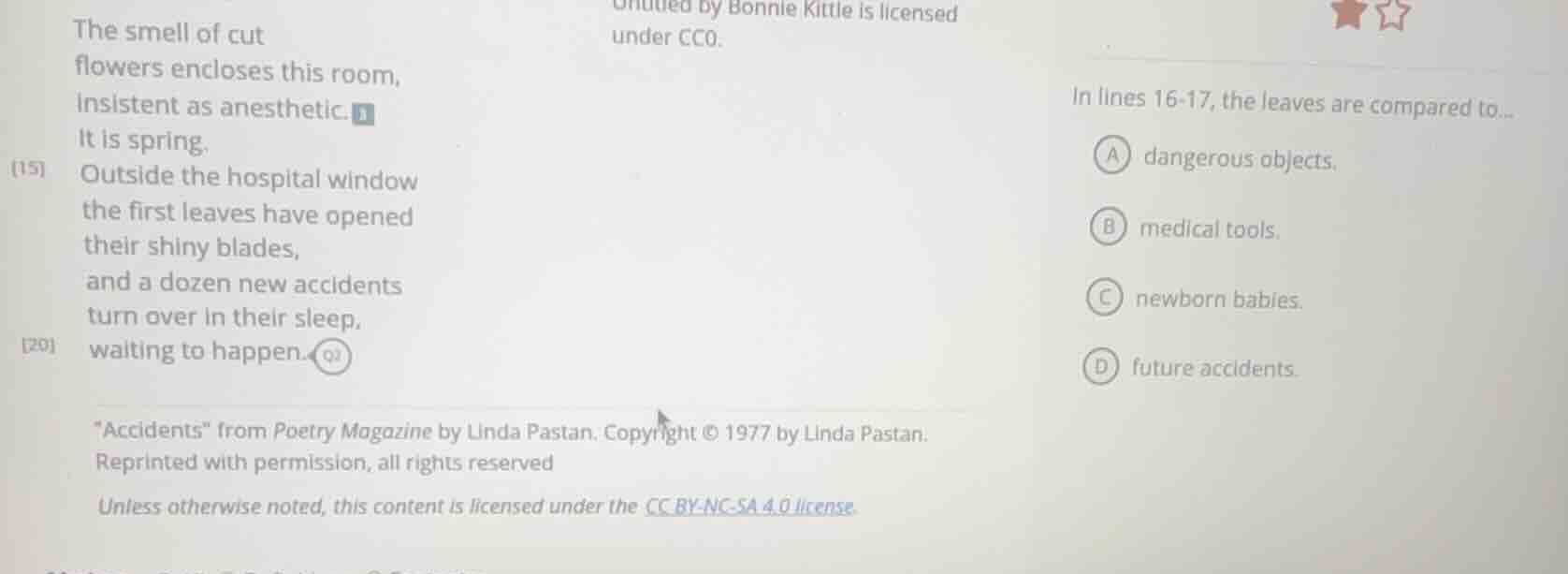 the smell of cut flowers encloses this room, insistent as anesthetic. i…