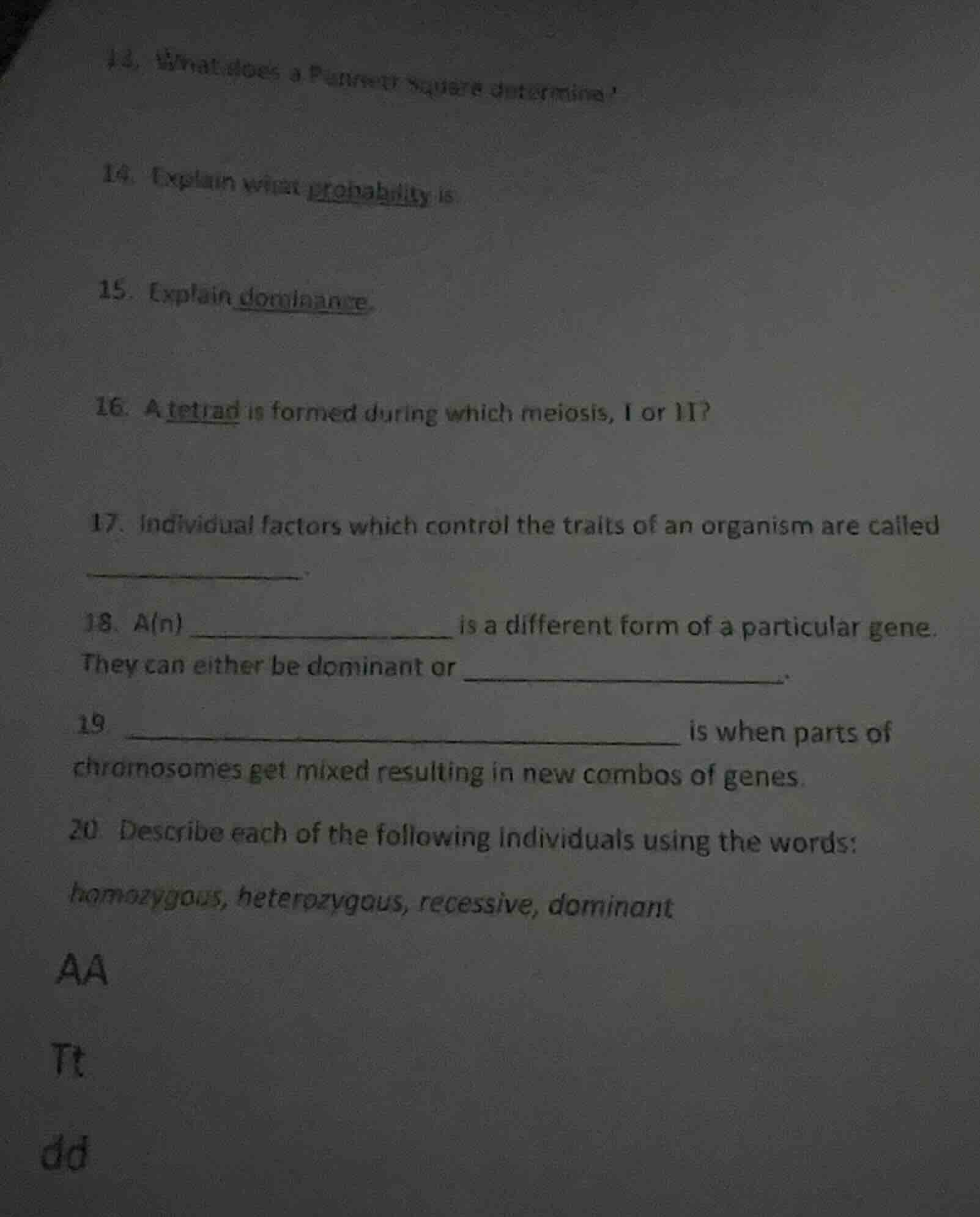 14. what does a punnett square determine? 14. explain what probability …