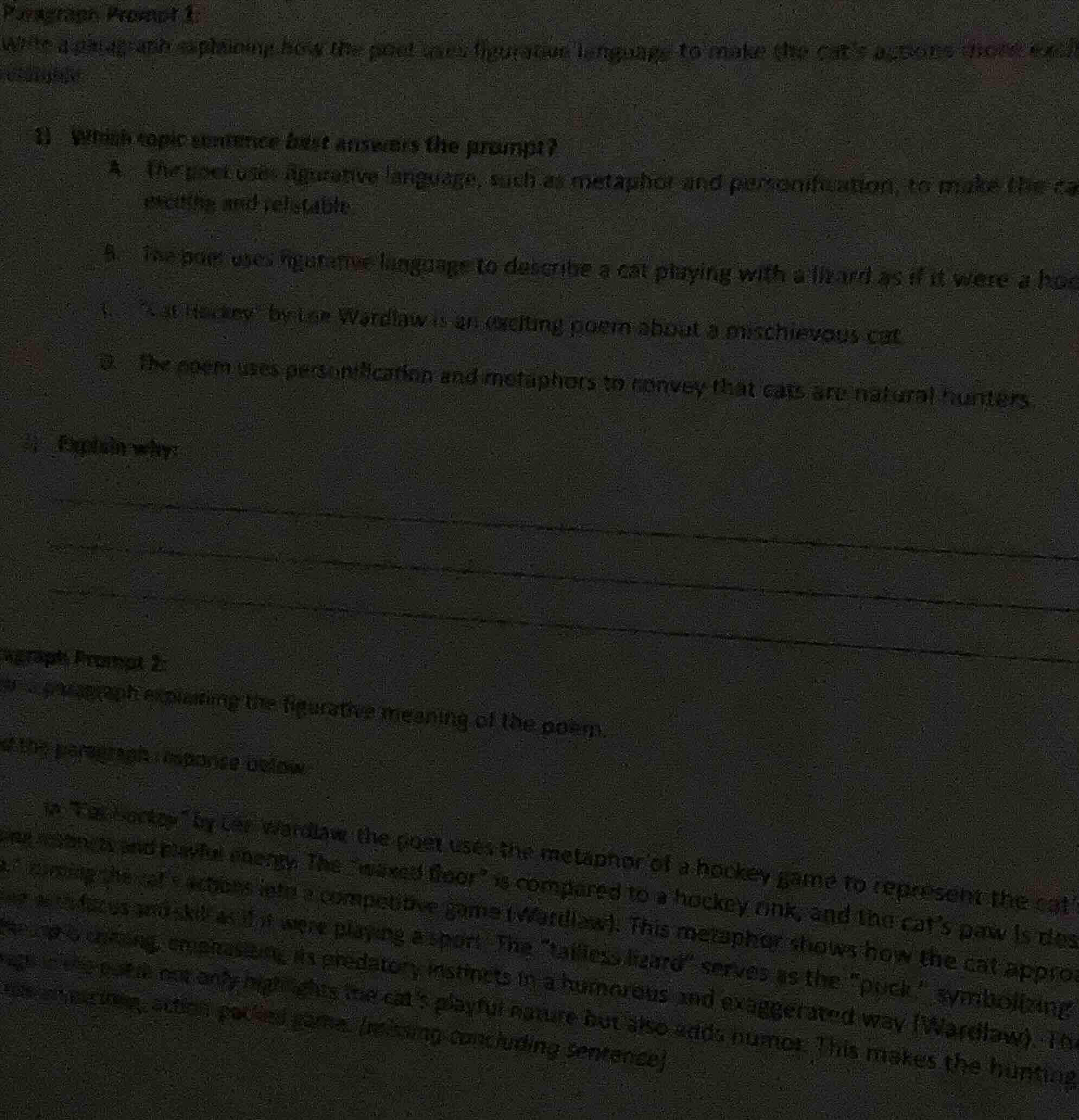 paragraph prompt 1: write a paragraph explaining how the poet uses figu…