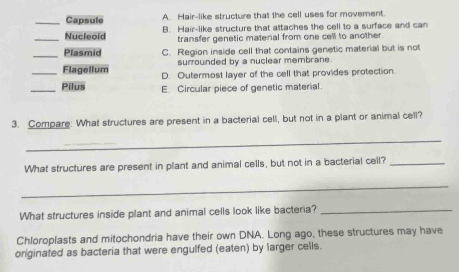 _____ capsule _____ nucleoid _____ plasmid _____ flagellum _____ pilus …