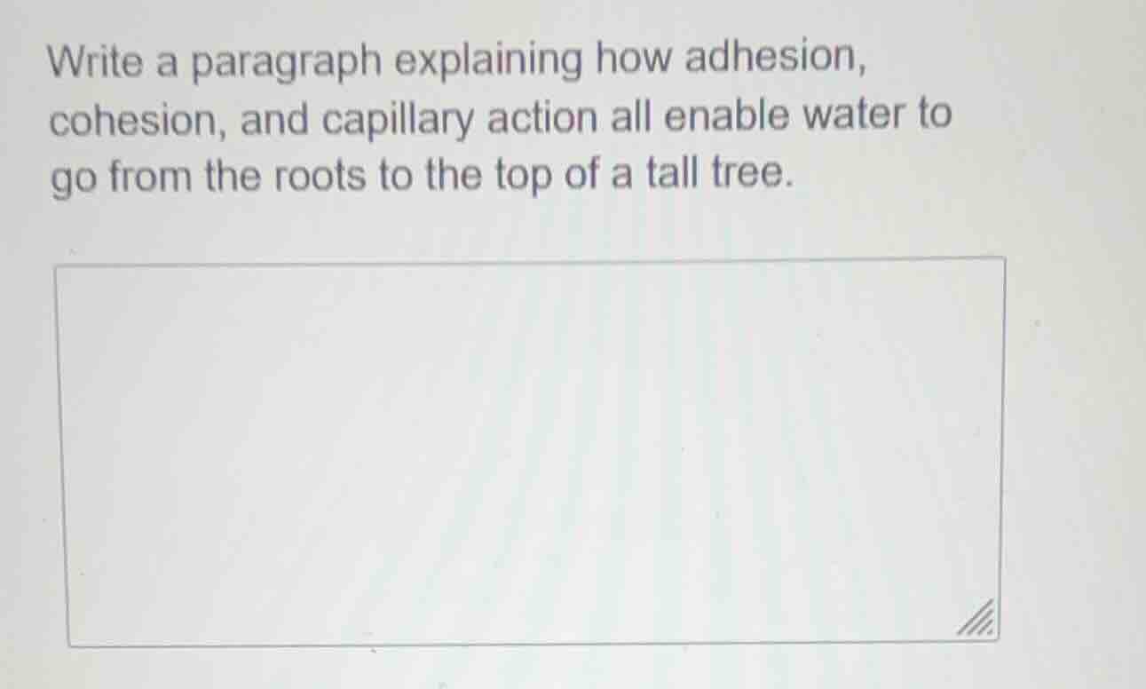 write a paragraph explaining how adhesion, cohesion, and capillary acti…