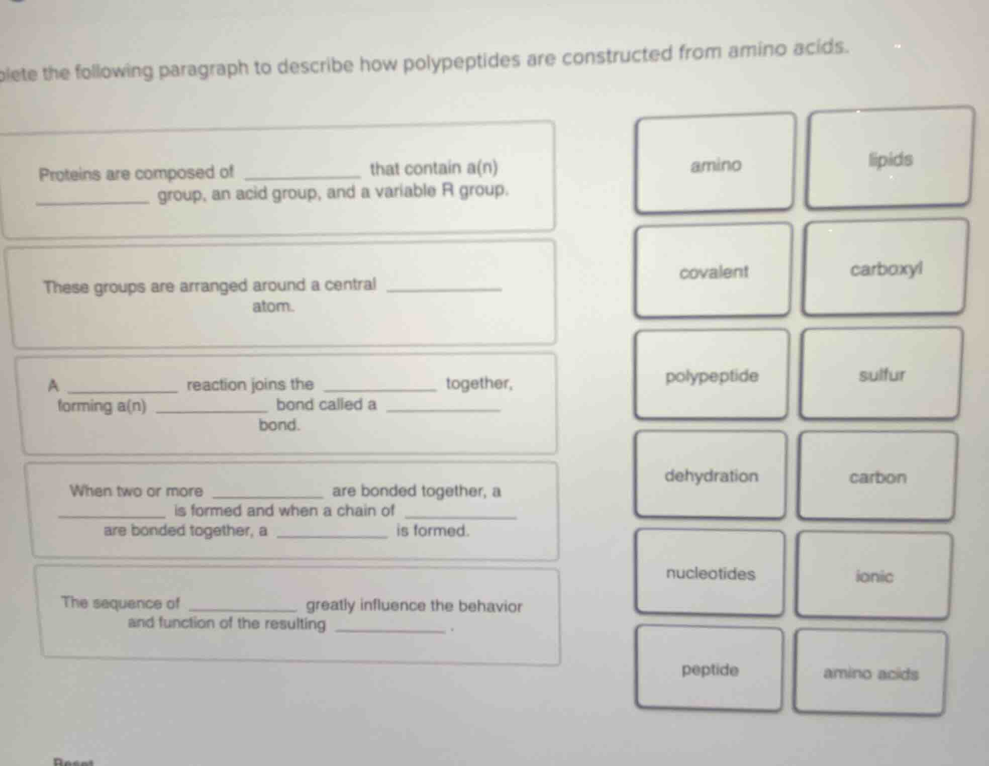 plete the following paragraph to describe how polypeptides are construc…