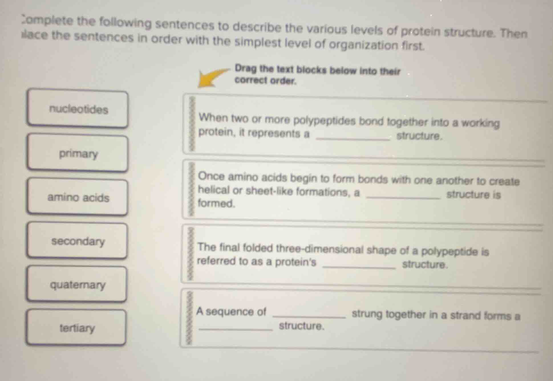 complete the following sentences to describe the various levels of prot…