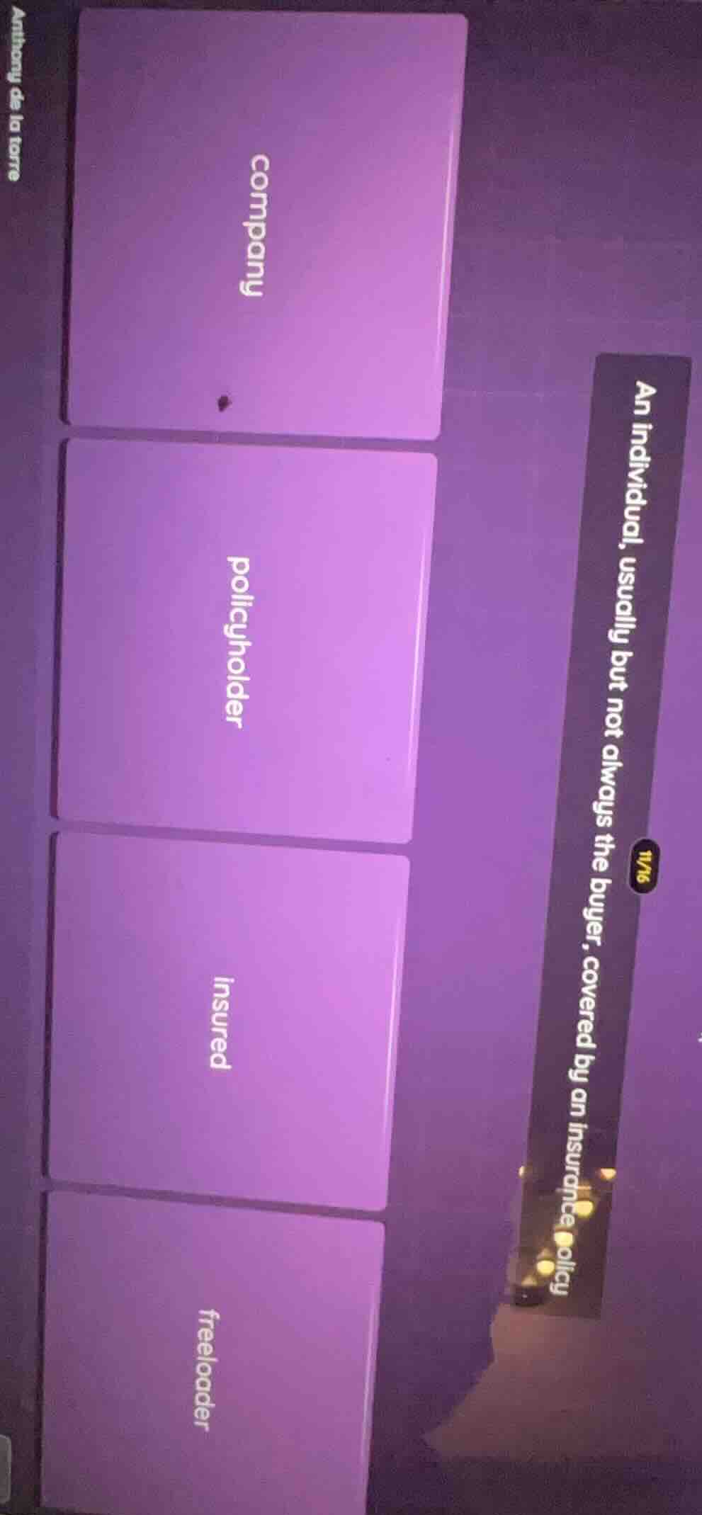 an individual, usually but not always the buyer, covered by an insuranc…