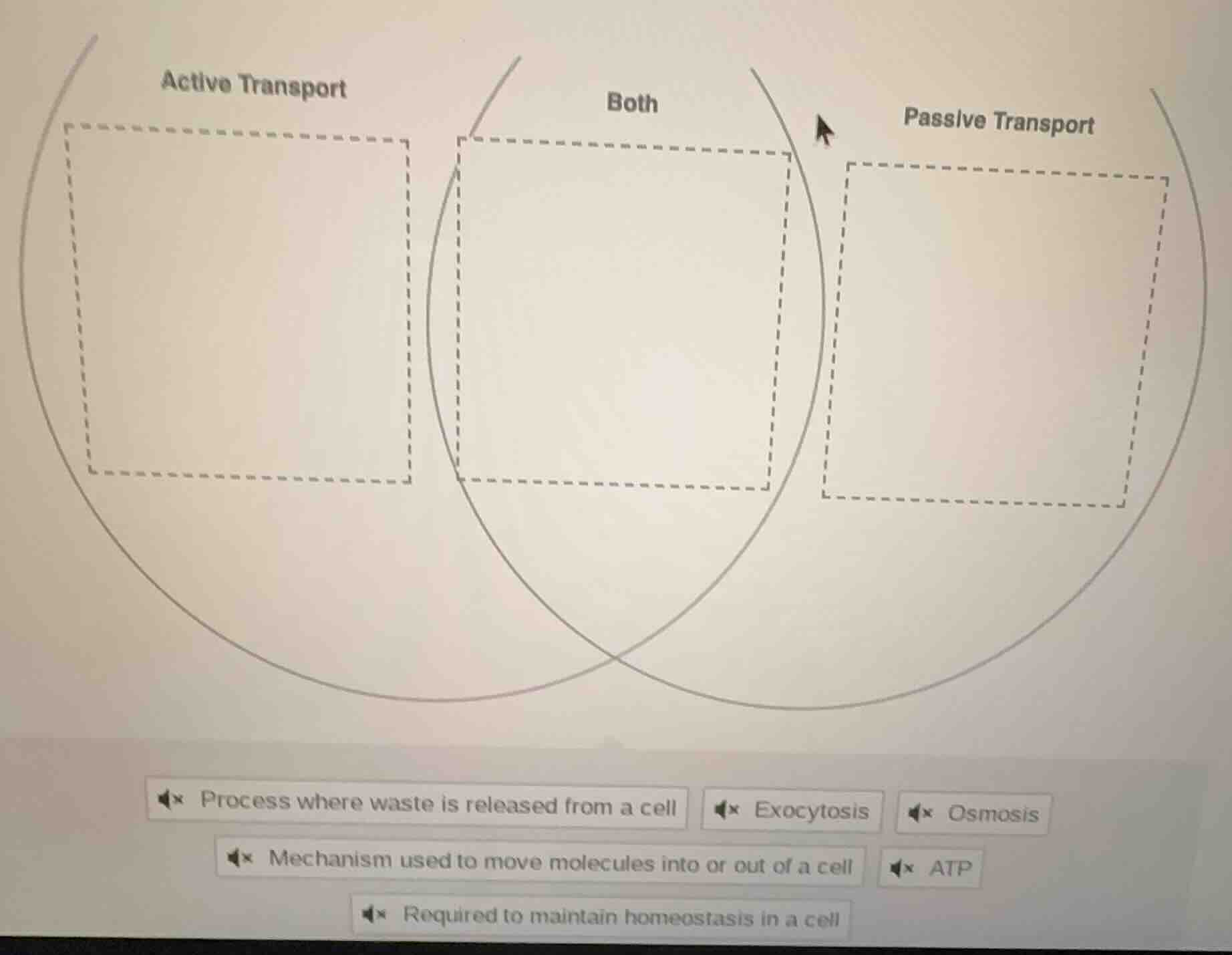 active transport both passive transport process where waste is released…