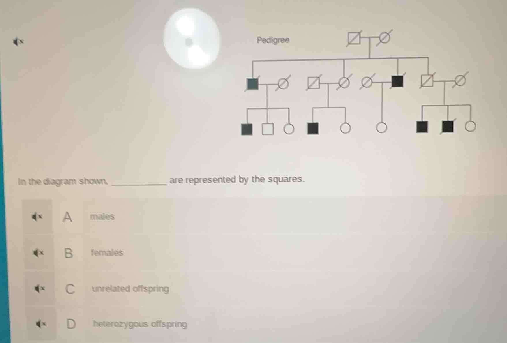in the diagram shown, ________ are represented by the squares. a males …