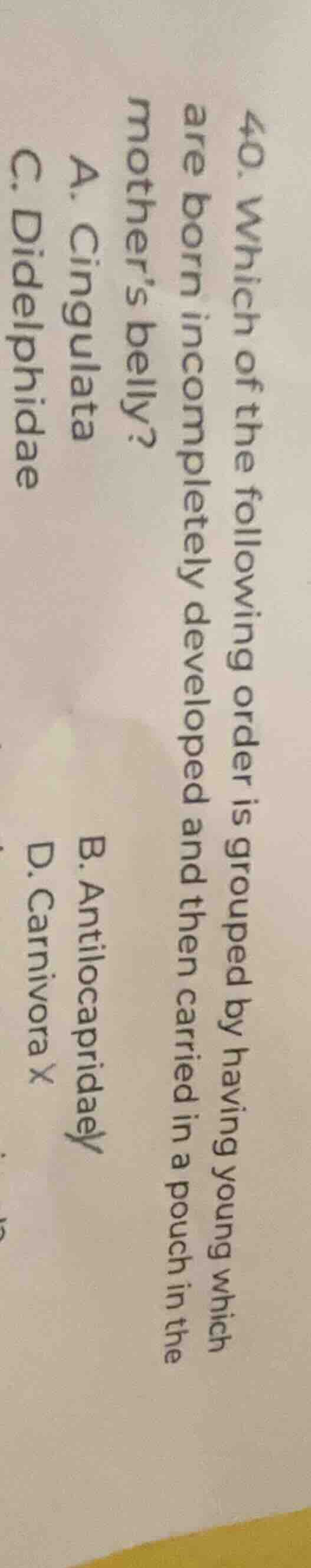 40. which of the following order is grouped by having young which are b…
