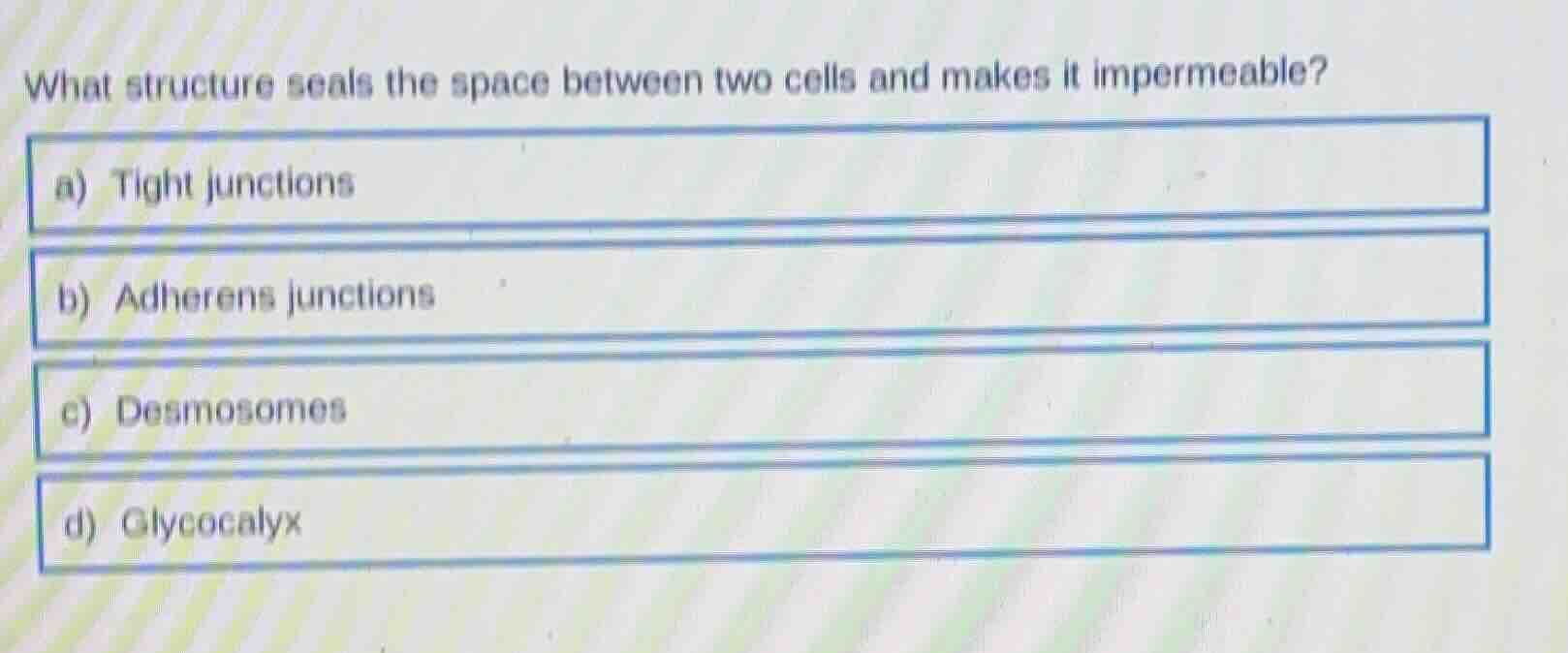 what structure seals the space between two cells and makes it impermeab…
