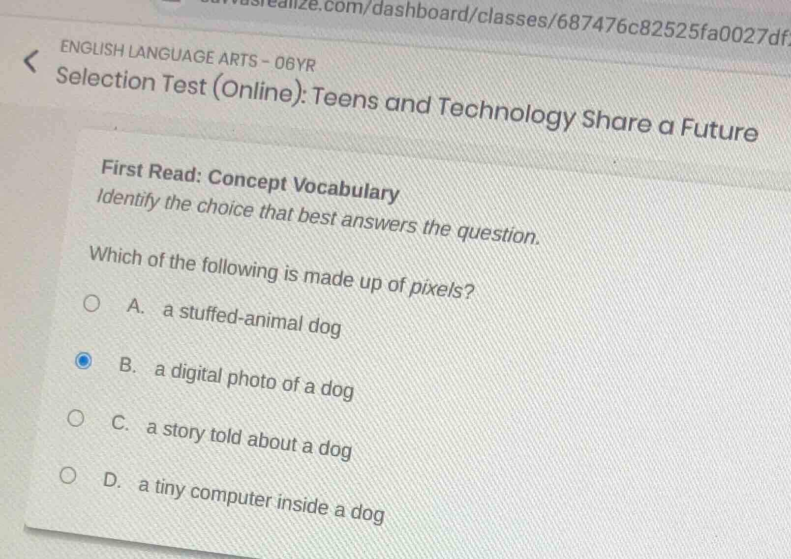 english language arts - 06yr selection test (online): teens and technol…