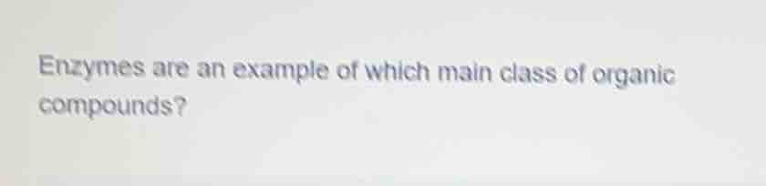 enzymes are an example of which main class of organic compounds?