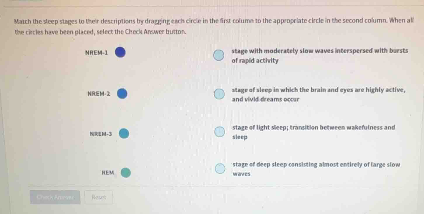 match the sleep stages to their descriptions by dragging each circle in…