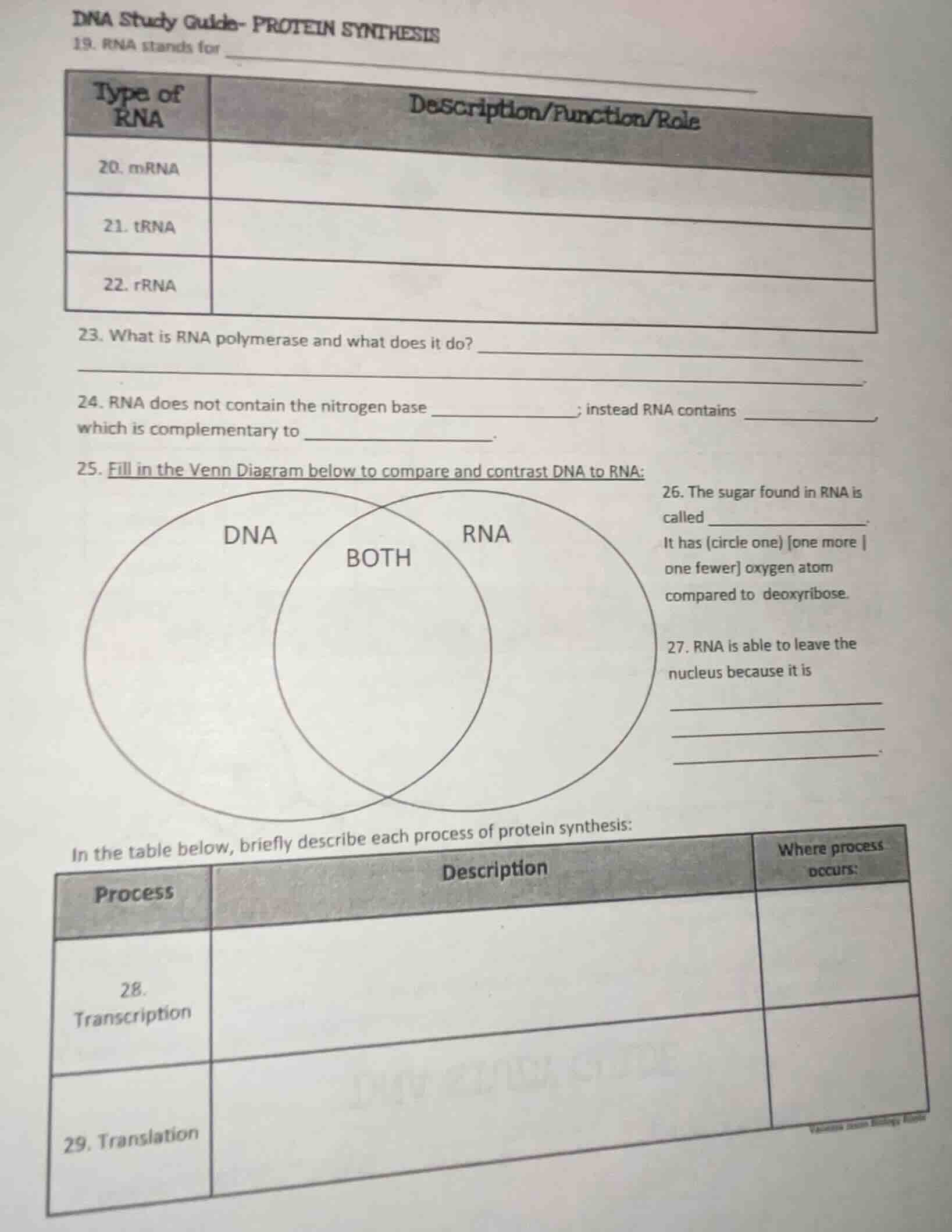 dna study guide- protein synthesis 19. rna stands for type of rna\tdesc…