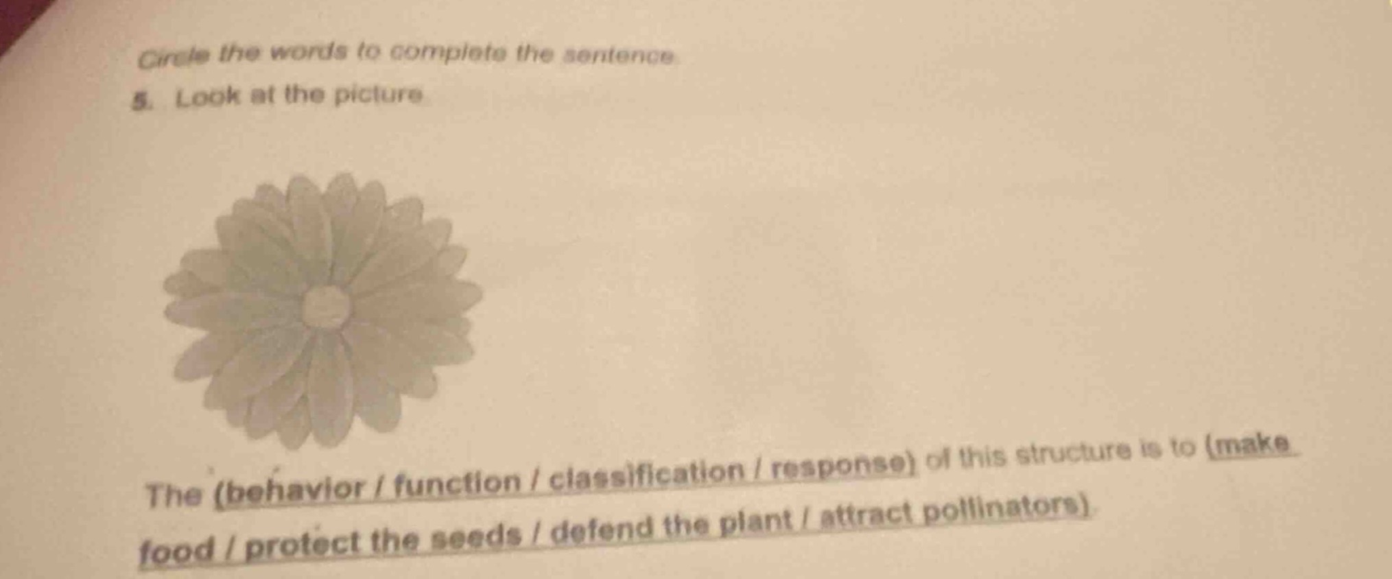 circle the words to complete the sentence 5. look at the picture the (b…