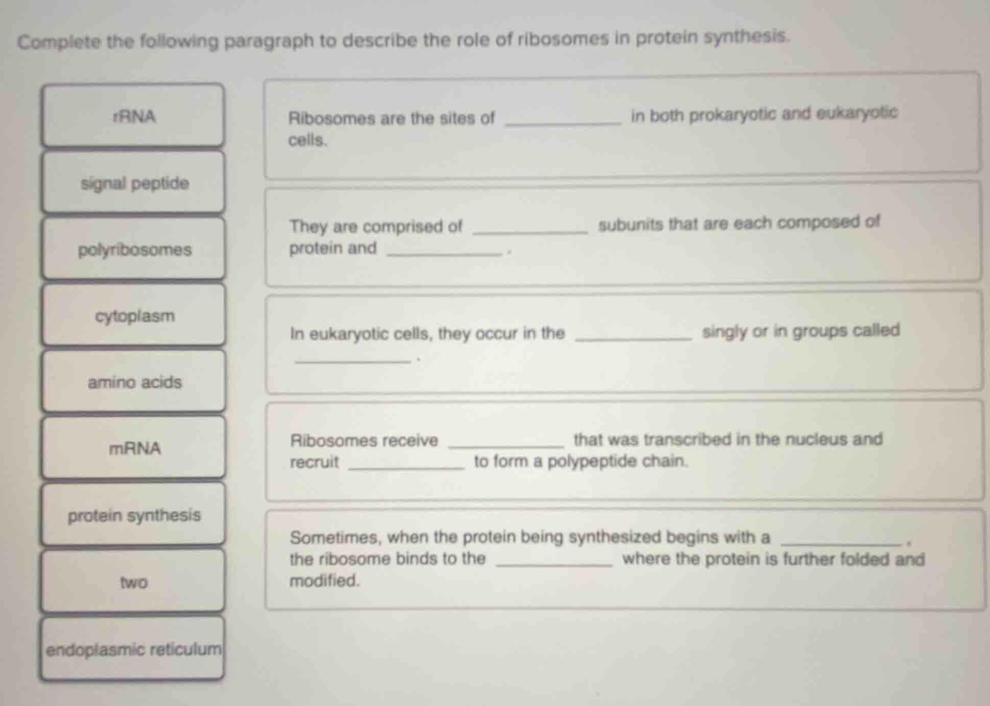 complete the following paragraph to describe the role of ribosomes in p…