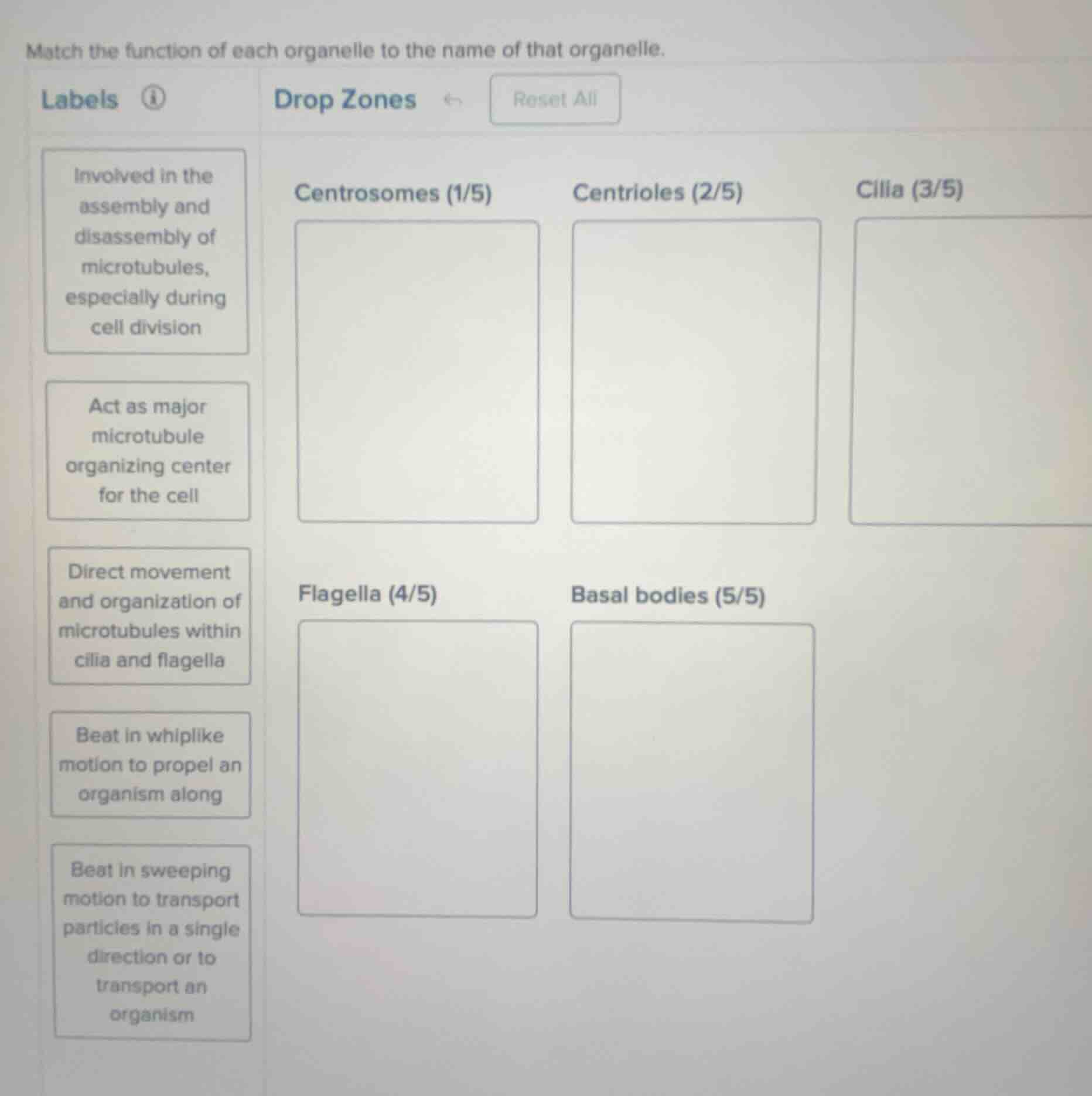 match the function of each organelle to the name of that organelle. lab…