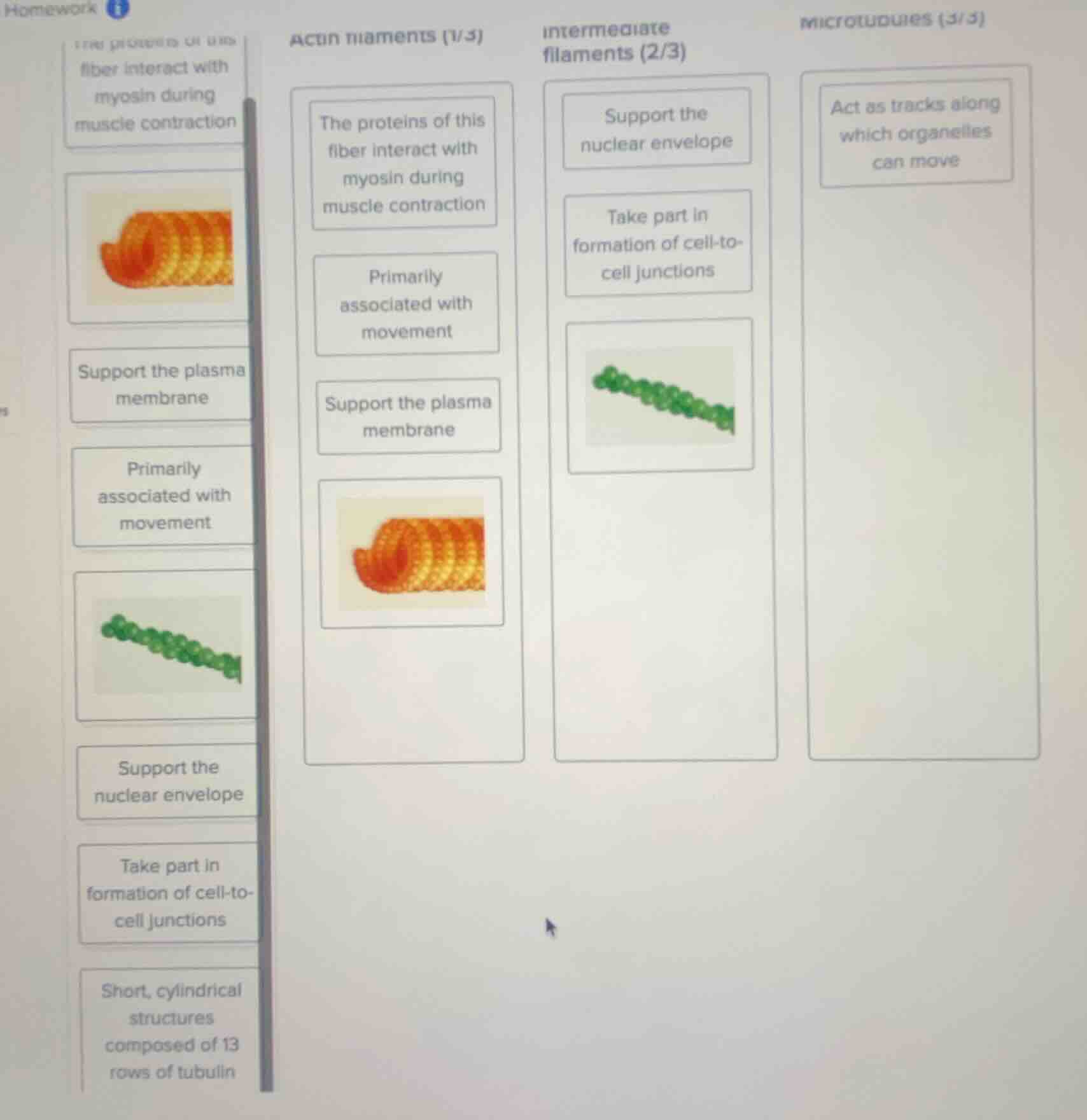homework actin filaments (1/3) the proteins of this fiber interact with…