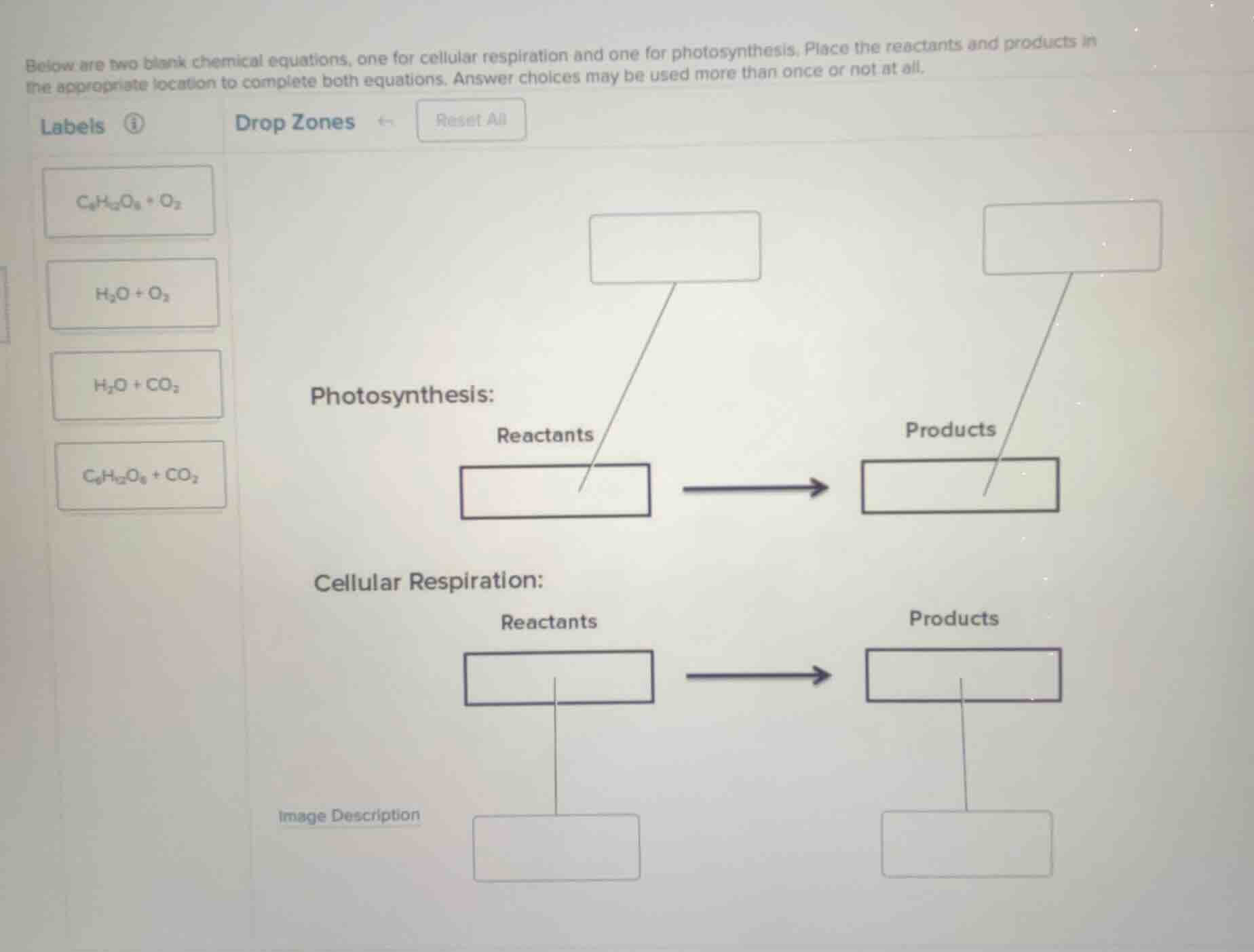 below are two blank chemical equations, one for cellular respiration an…