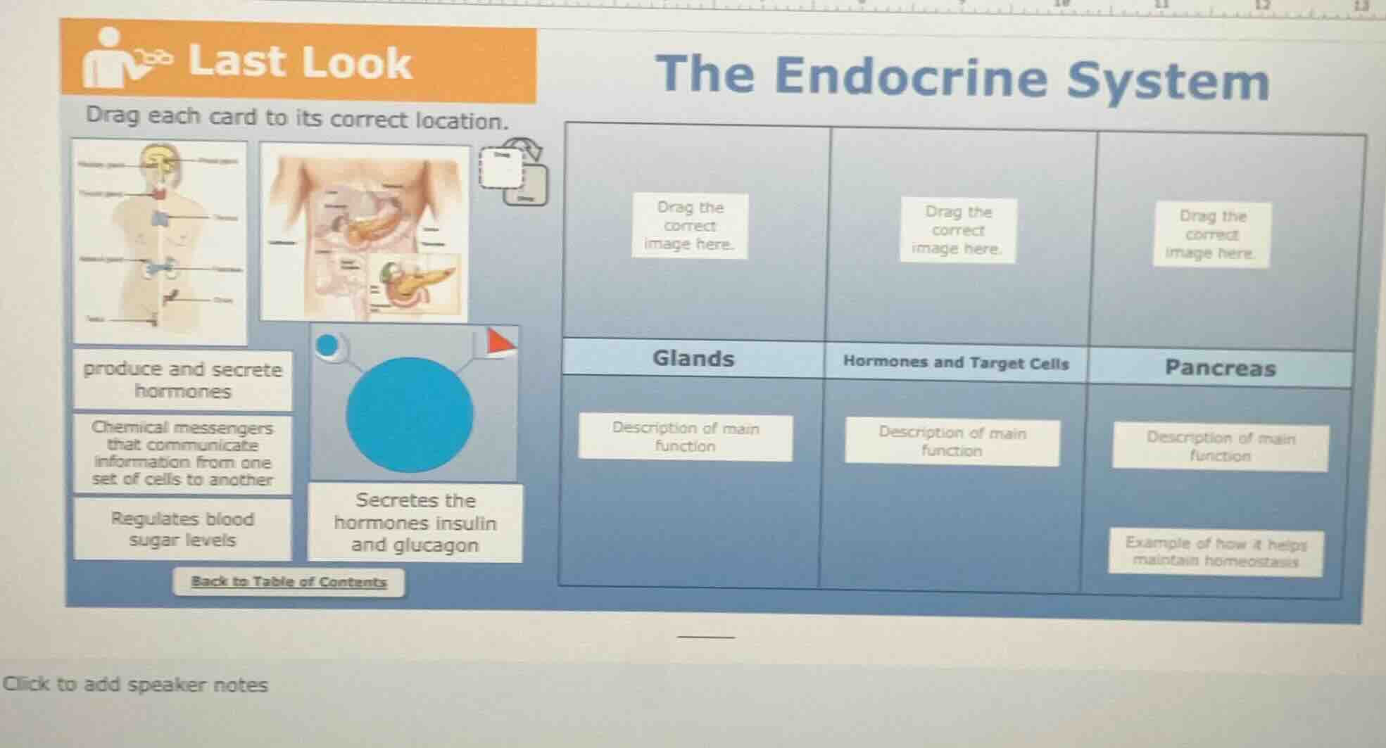 last look the endocrine system drag each card to its correct location. …