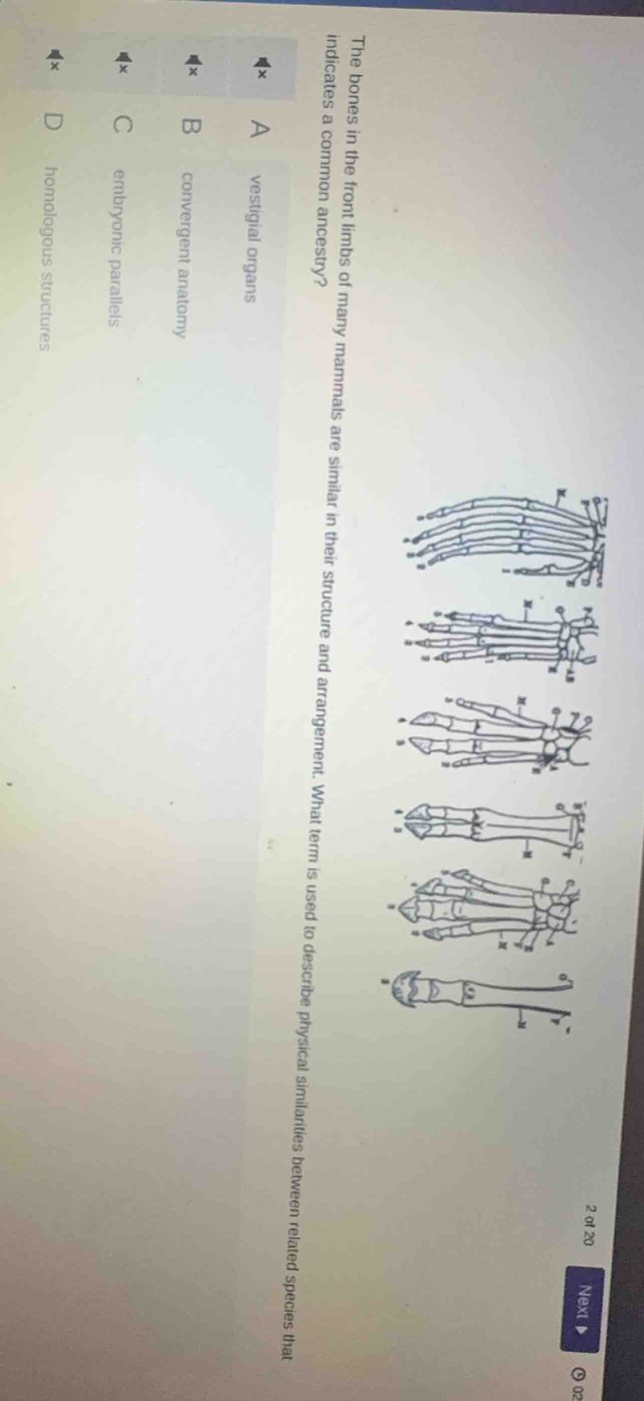 the bones in the front limbs of many mammals are similar in their struc…