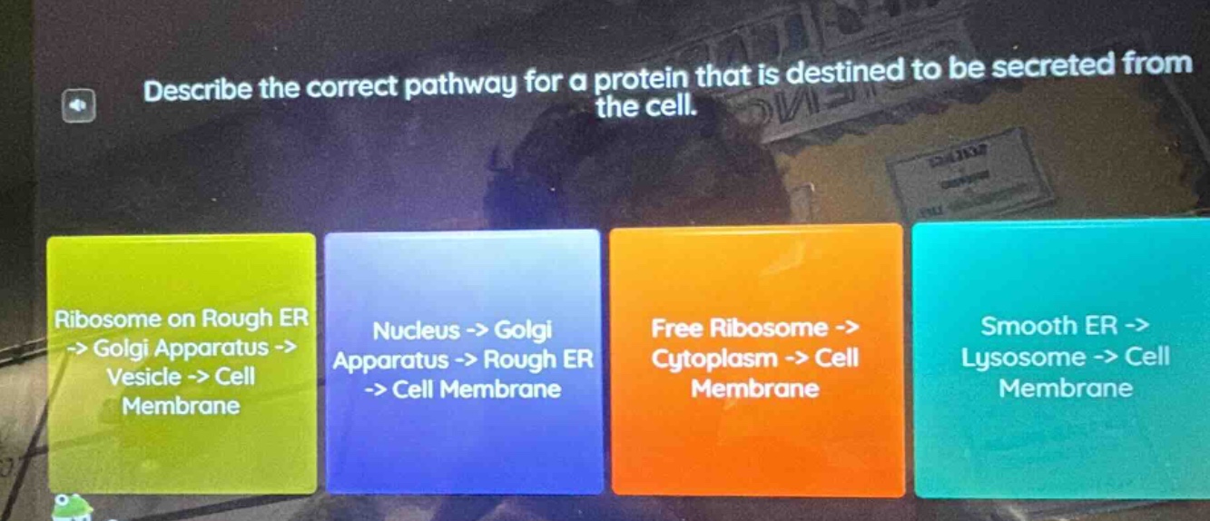 describe the correct pathway for a protein that is destined to be secre…