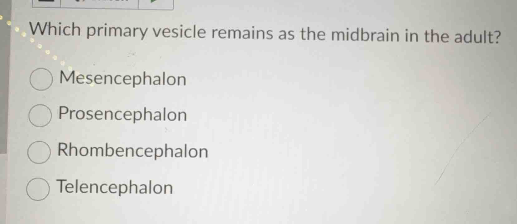 which primary vesicle remains as the midbrain in the adult? mesencephal…