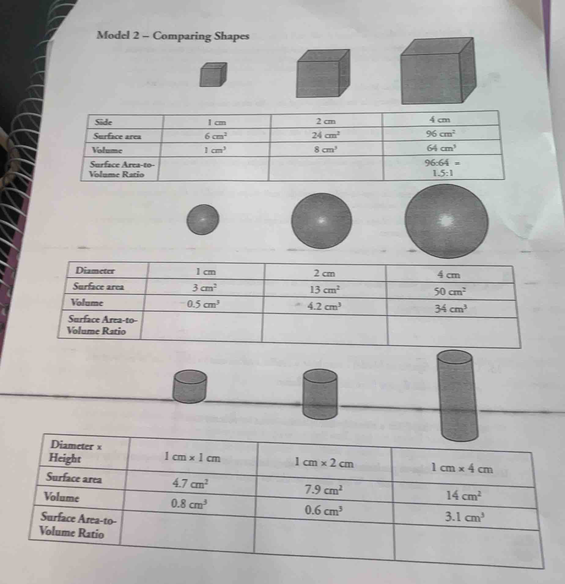 model 2 – comparing shapes | side | 1 cm | 2 cm | 4 cm | | --- | --- | …