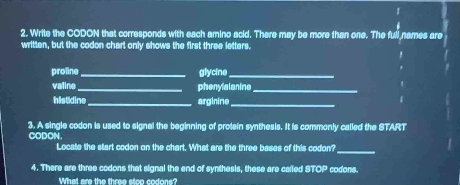 2. write the codon that corresponds with each amino acid. there may be …