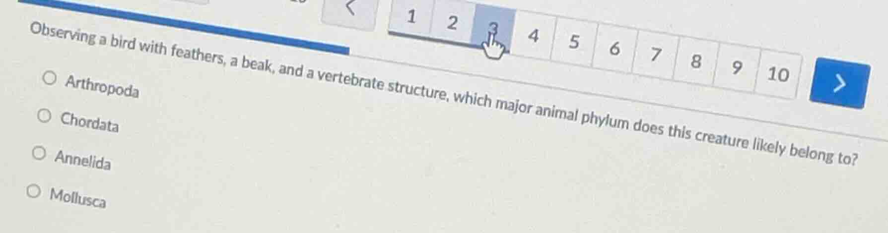 observing a bird with feathers, a beak, and a vertebrate structure, whi…