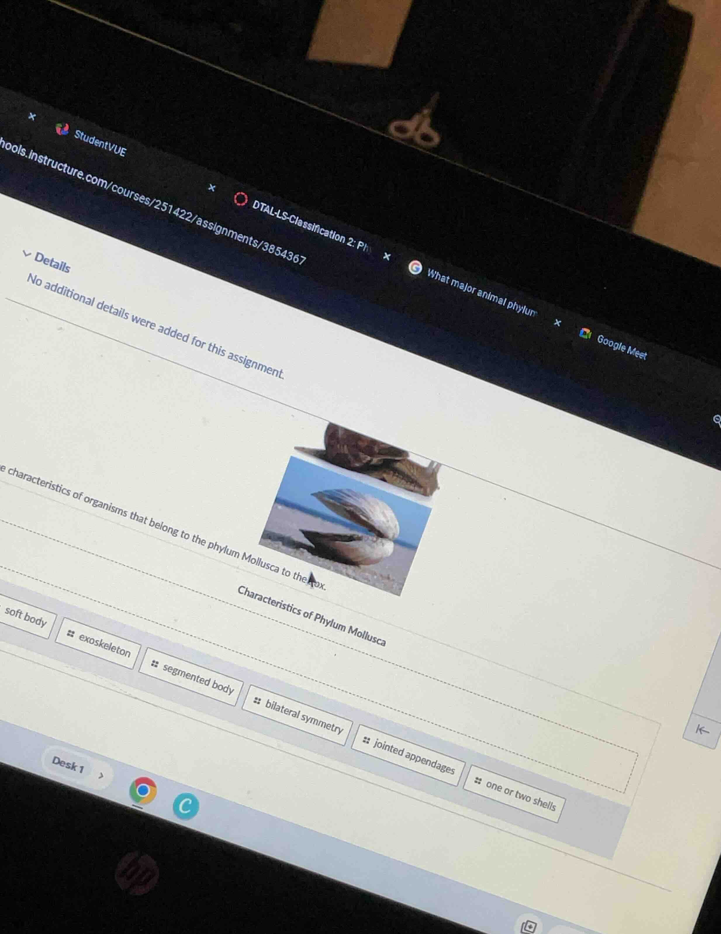 details no additional details were added for this assignment. character…