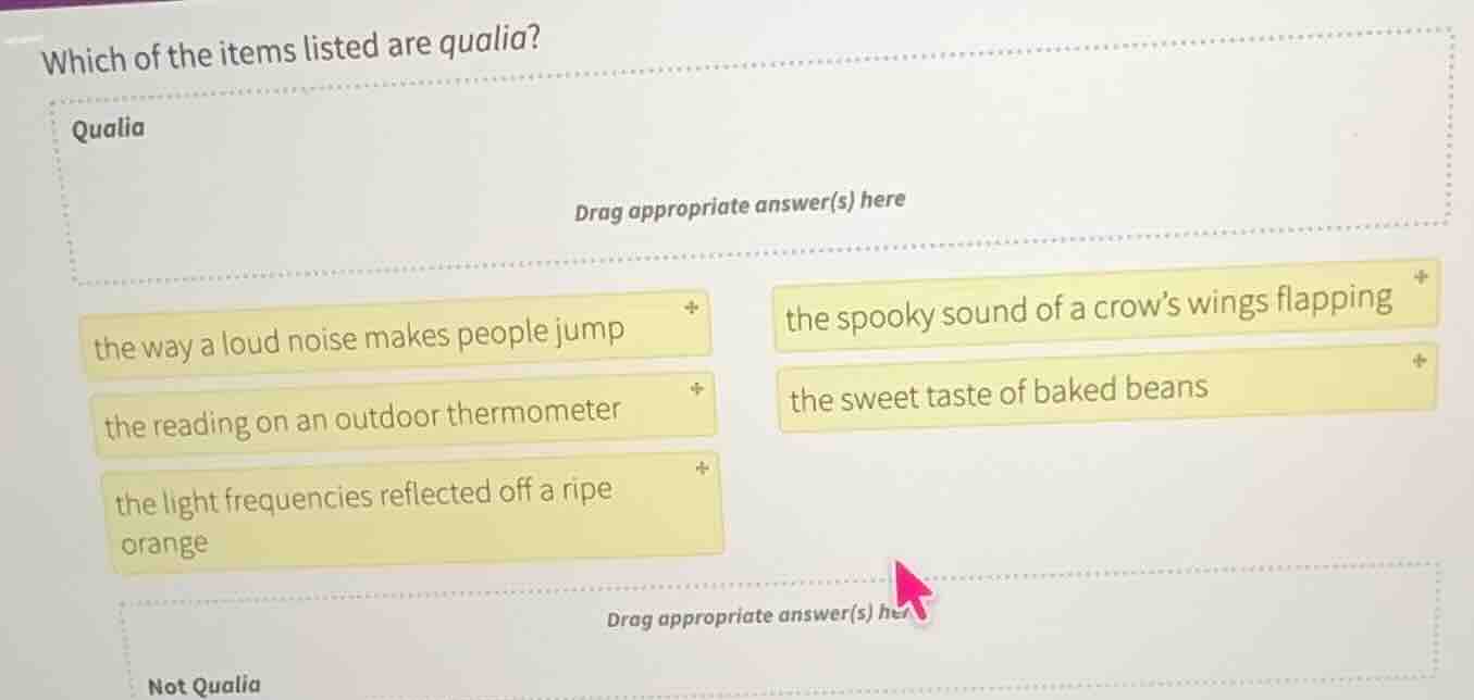 which of the items listed are qualia? qualia drag appropriate answer(s)…